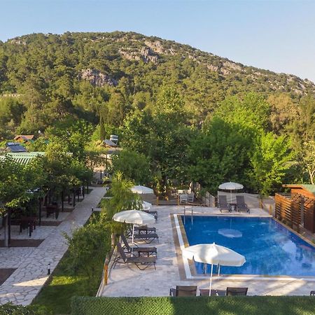 Koala Bungalows Olympos Esterno foto